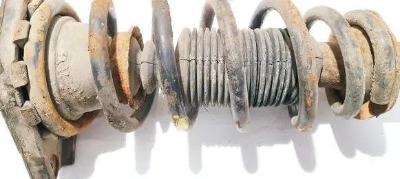 Nissan Primera Rear coil spring