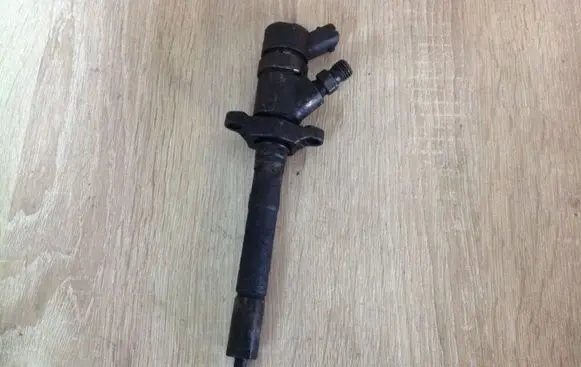 Citroen C4 I Picasso Fuel injector 0445110188
