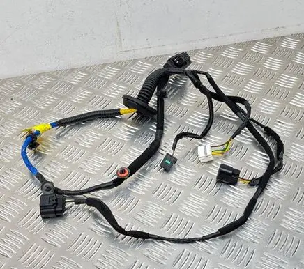 Hyundai Kona I Rear door wiring loom 91630J9050