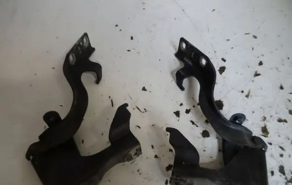 Opel Antara Engine bonnet/hood hinges 24321