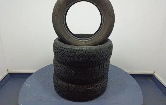 Volkswagen PASSAT B5 R17 C winter tire 5420068628049