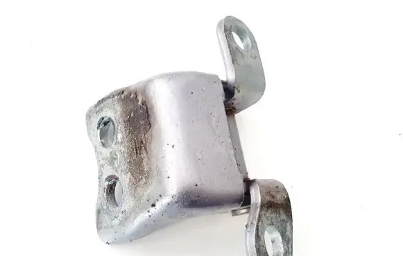 Rear door lower hinge