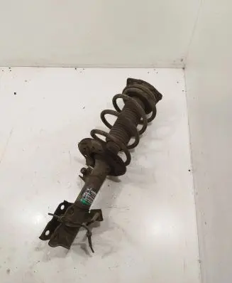 Nissan Qashqai Front shock absorber with coil spring 54302JD01A 824903002933
