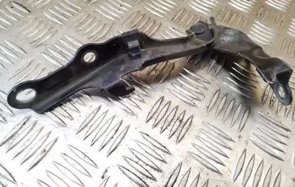 Toyota RAV 4 (XA20) Engine bonnet/hood hinges