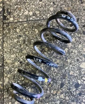 Rear coil spring