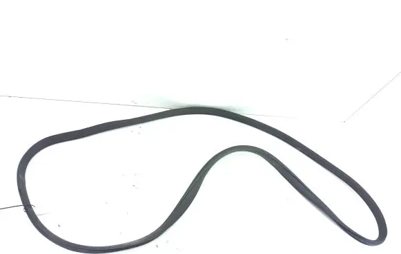 Mercedes-Benz GL X164 Front door rubber seal a1646900476