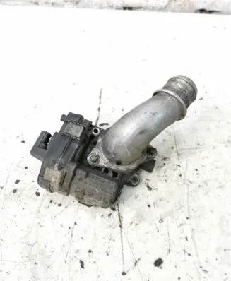 Opel Zafira B Throttle valve 55199975