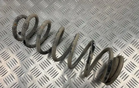 Rear coil spring