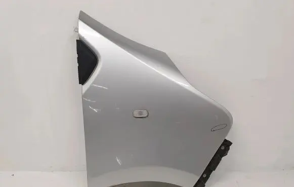 Renault Trafic III (X82) Fender
