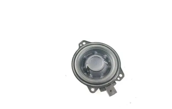 Front door high frequency speaker