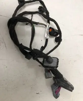 Rear door wiring loom