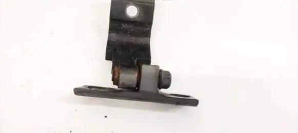 BMW X5 E70 Rear door lower hinge 7160825