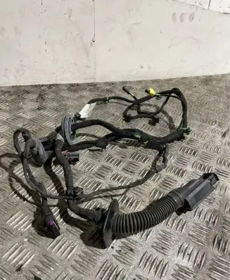 Audi A8 S8 D4 4H Front door wiring loom 4H0971030EA TAB010766SG