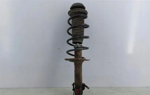 Peugeot 107 Front shock absorber with coil spring