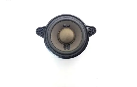Front door high frequency speaker
