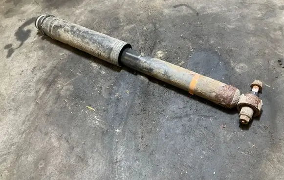 Fiat Doblo Rear shock absorber/damper