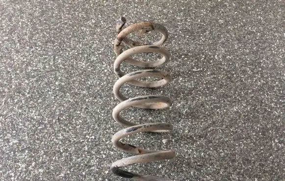 Ford Focus C-MAX Rear coil spring