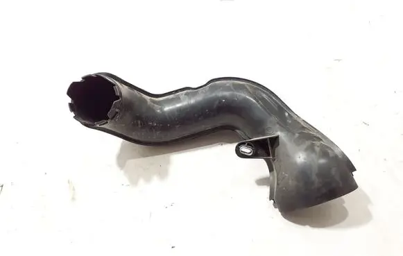 Renault Kangoo III Air intake duct part 290969861R