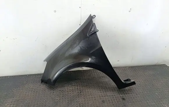 Renault Clio III Fender 