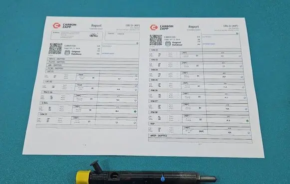 Renault Kangoo I Fuel injector EJBR05102D IMPRK1558434
