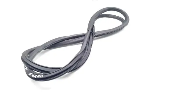 Opel Insignia B Front door rubber seal 