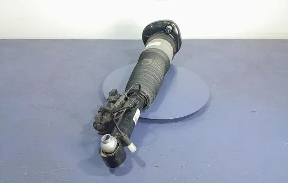 Rear shock absorber/damper