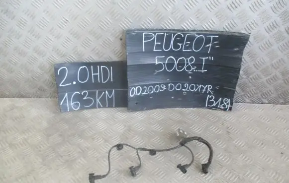 Peugeot 5008 Plug wire 9688409680