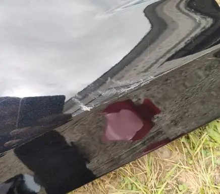 Ford Focus Fender