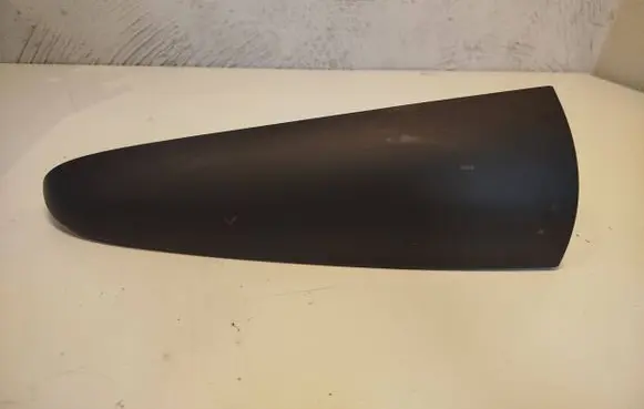 Renault Kangoo II Rear/tail light trim molding 8200499015