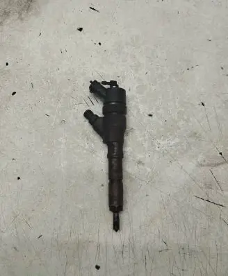 Peugeot 406 Fuel injector 9637536080