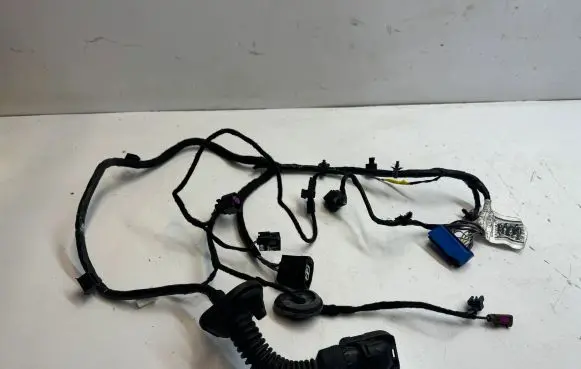 Maserati Levante Front door wiring loom 670035377