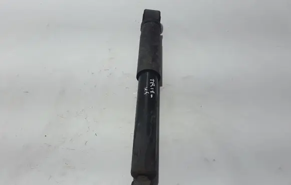 Opel Vivaro Rear shock absorber/damper 562102878R