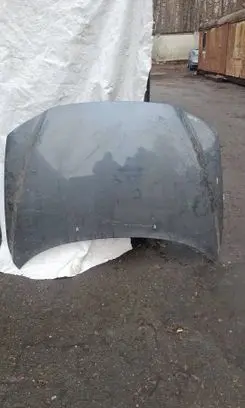 Engine bonnet/hood