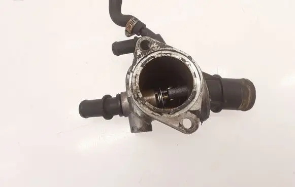 Thermostat/thermostat housing
