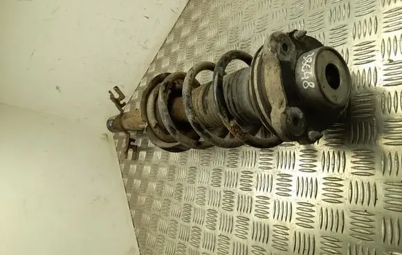 Citroen Jumper Front shock absorber with coil spring