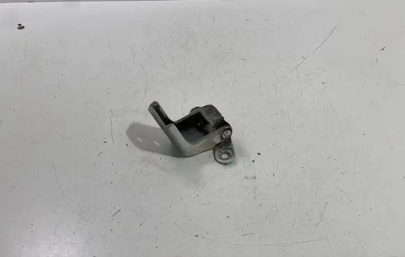 Renault Koleos I Rear door lower hinge A056803