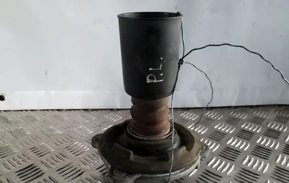 Coil spring mount