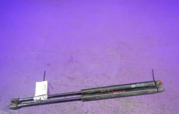 Tailgate strut