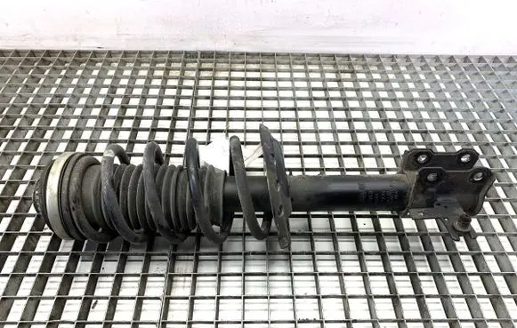 Opel Zafira B Front shock absorber/damper 