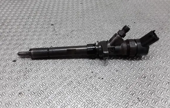 Citroen C5 Fuel injector 0445110036