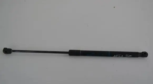 Tailgate/trunk strut/damper