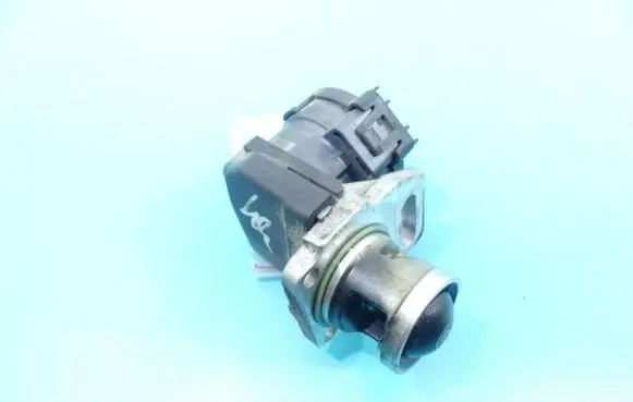 EGR valve