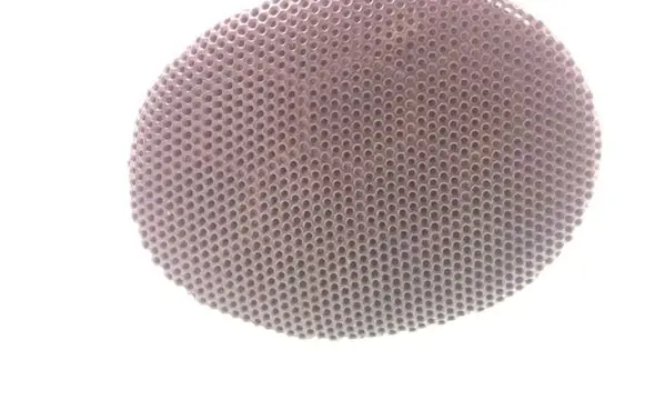 Volkswagen Sharan Panel speaker 95VW18808