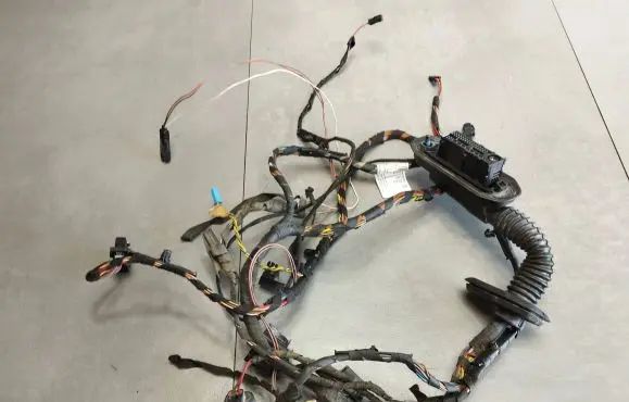 BMW X6 E71 Front door wiring loom 9242070