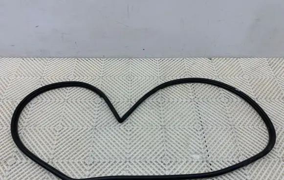 Toyota Camry VIII XV70 Rubber seal front door (on door)