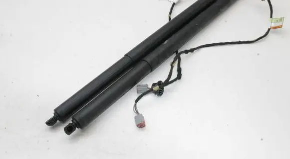 Ford Kuga III Rear shock absorber/damper LV4BS402A55AF