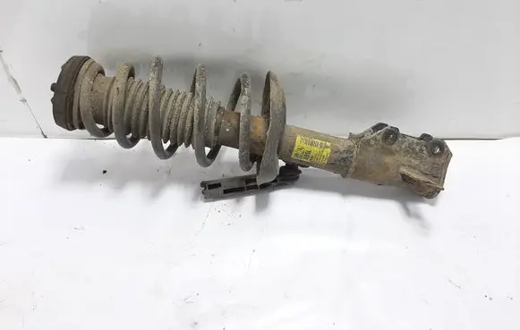 Opel Zafira C Front shock absorber/damper 13419911