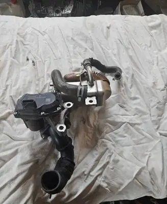Renault Trafic III (X82) EGR valve 147102408R H8201068965 VN1501000480