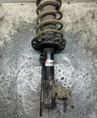 Opel Signum Front shock absorber with coil spring