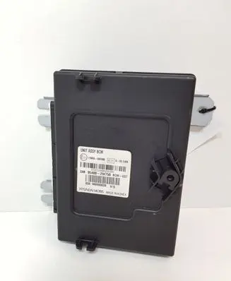 Hyundai Santa Fe Other control units/modules 954002W750